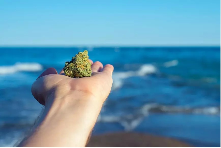 uruguay weed tourist