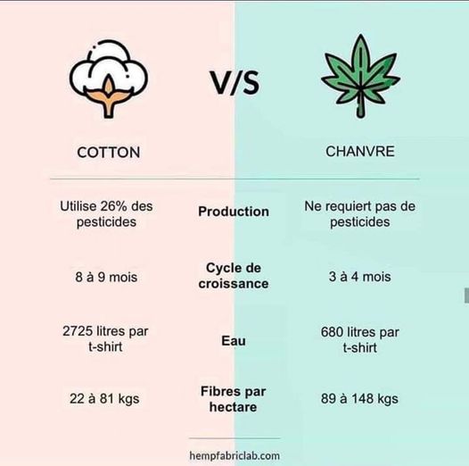 Coton vs chanvre